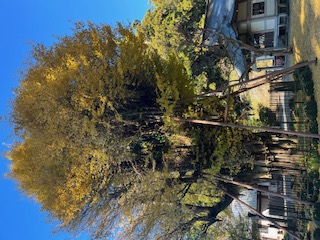 地旅商品画像2