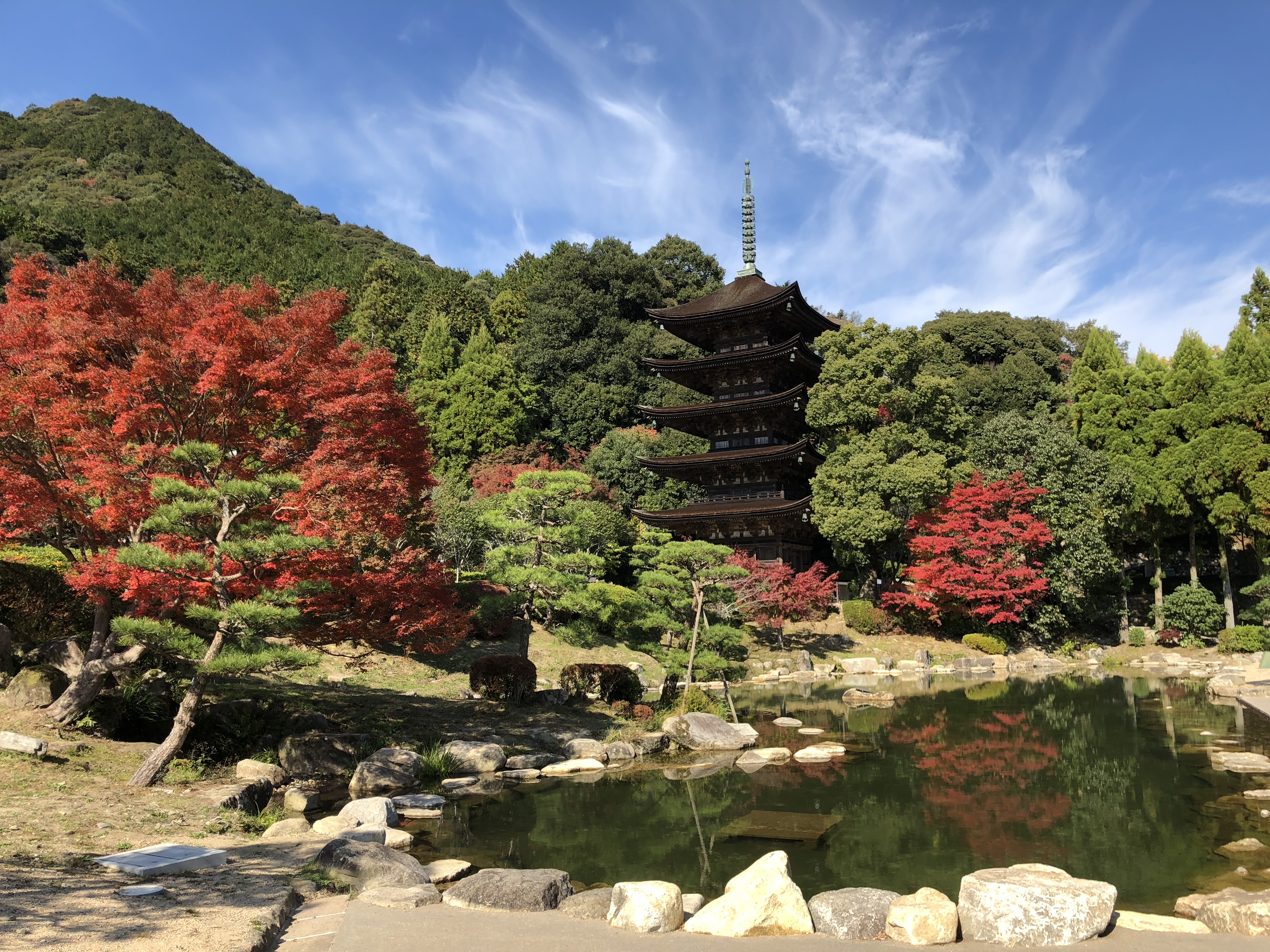 地旅商品画像