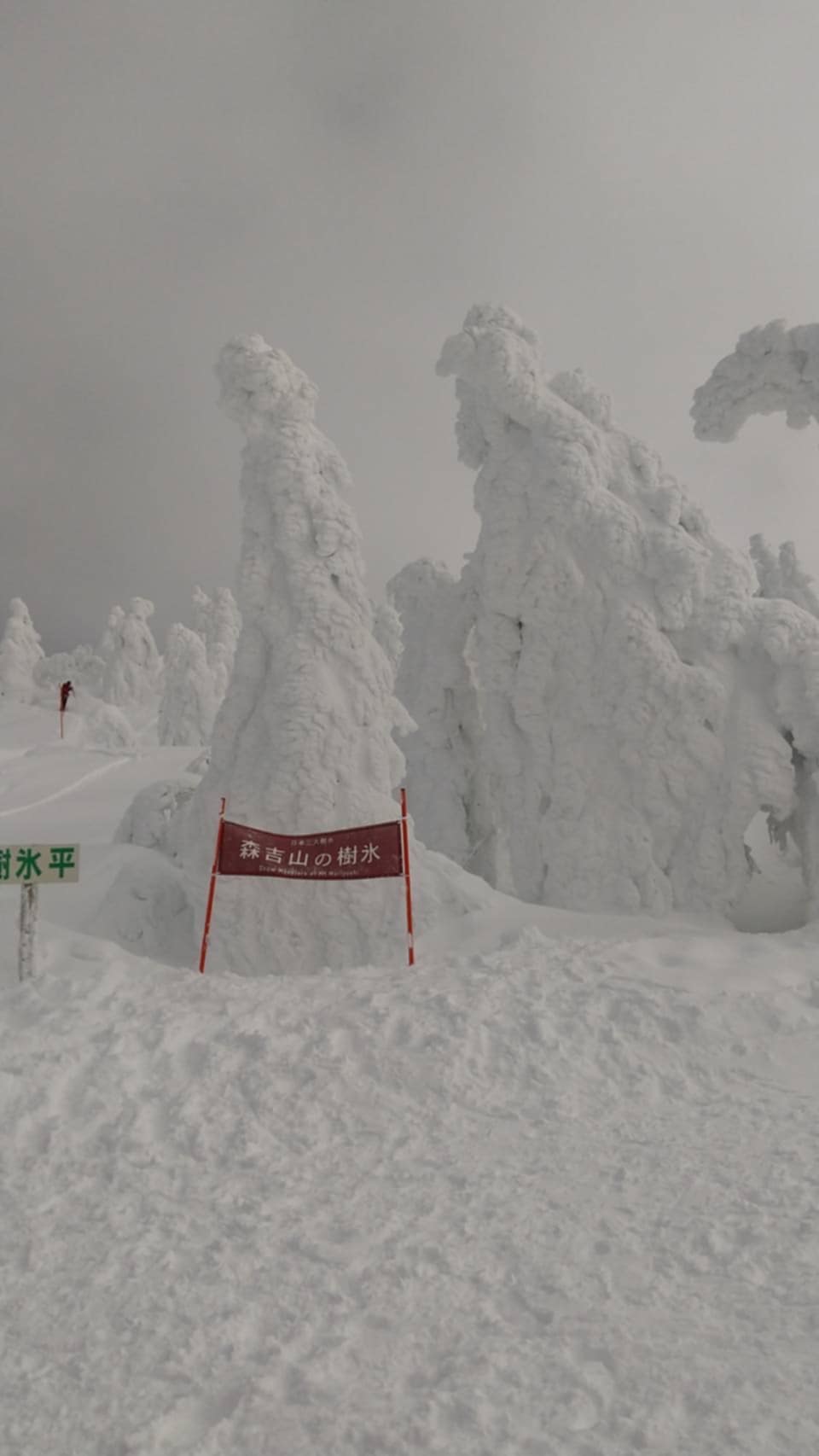 地旅商品画像2