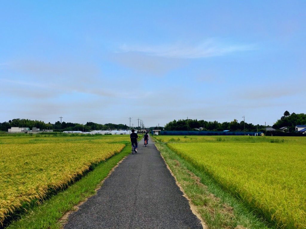 地旅商品画像