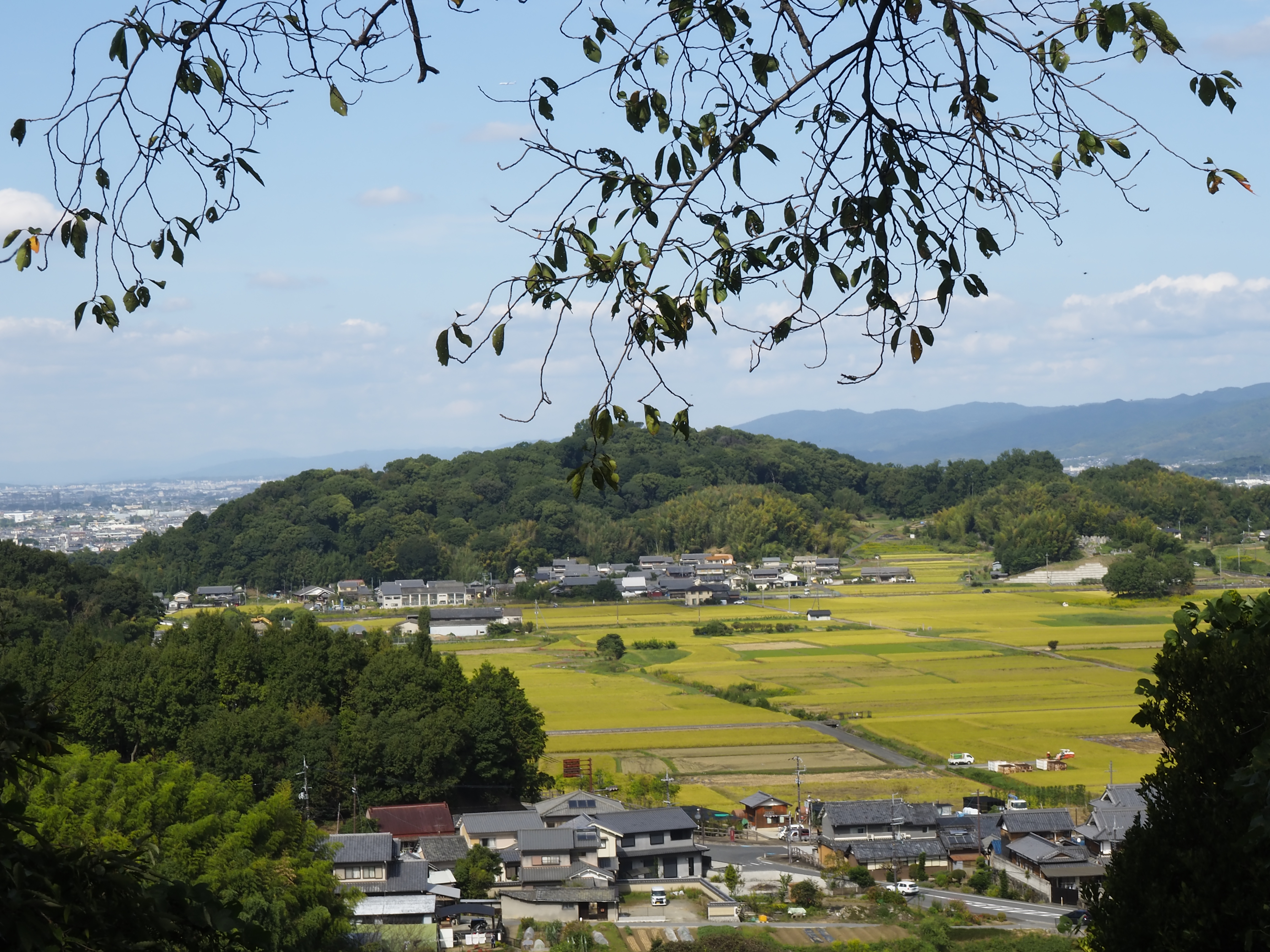 地旅商品画像
