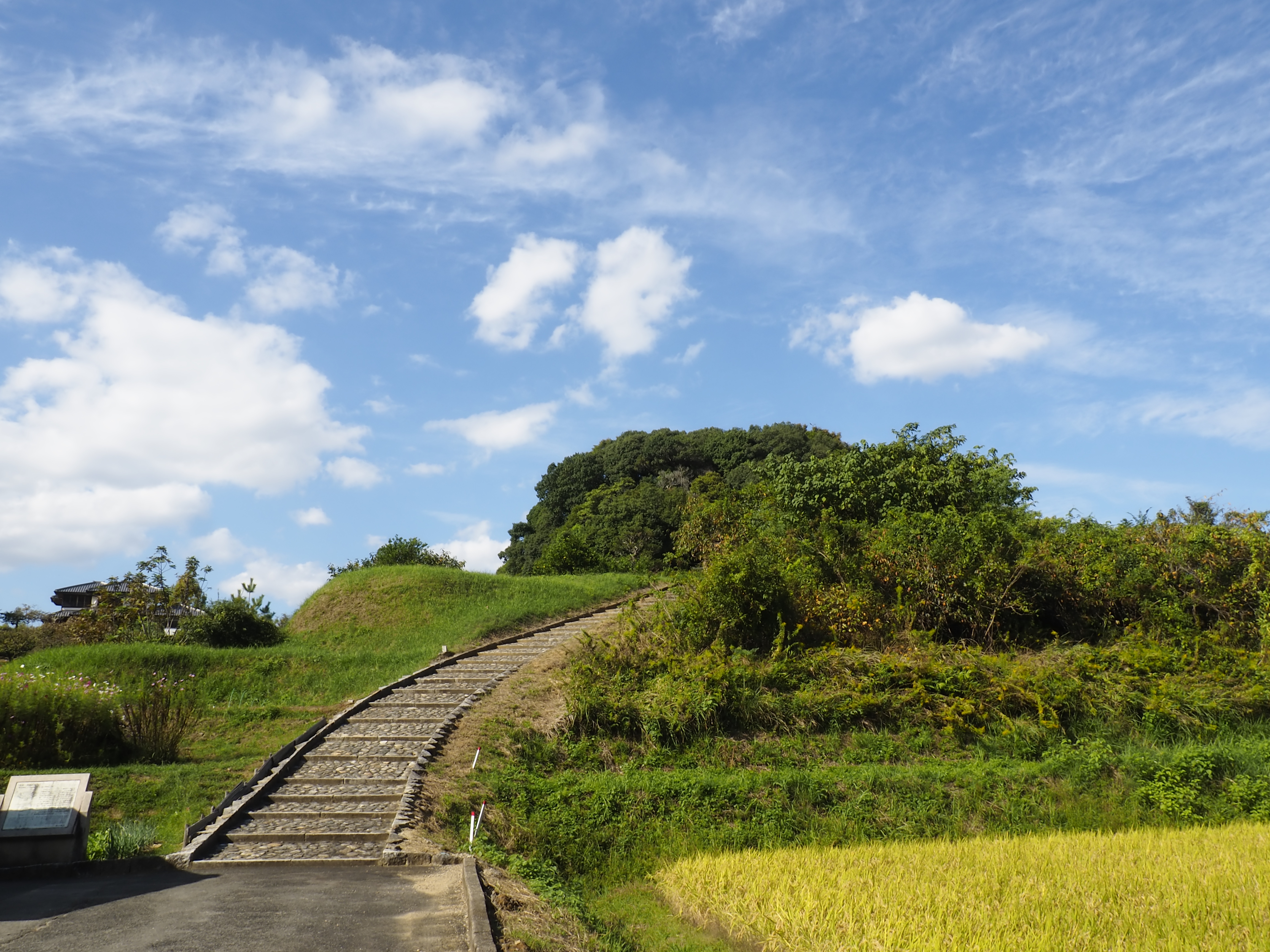 地旅商品画像4