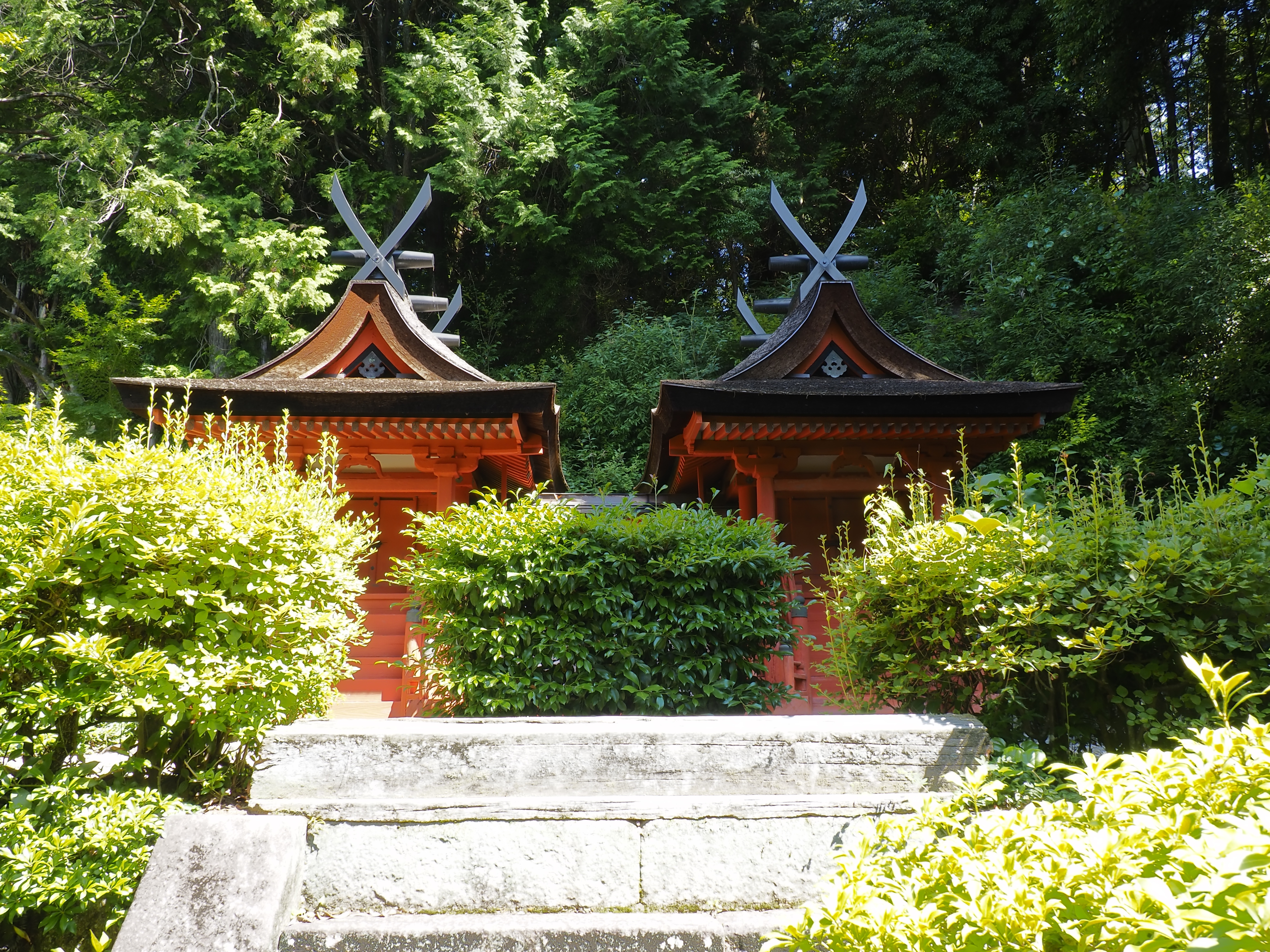 地旅商品画像4