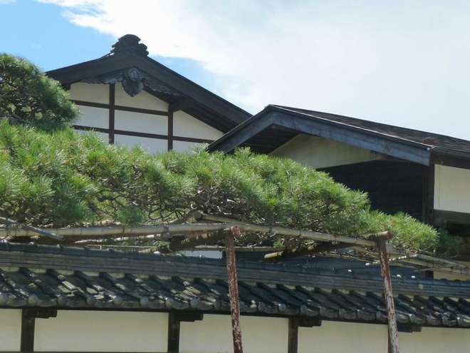 地旅商品画像4