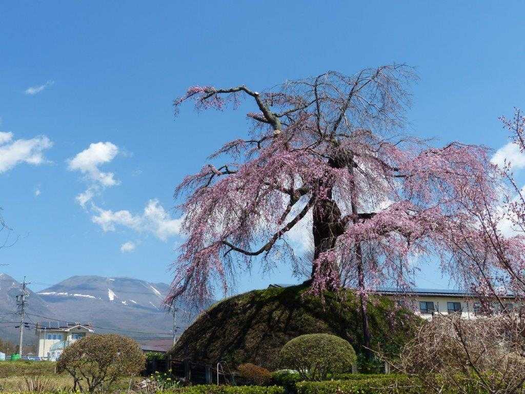 地旅商品画像8