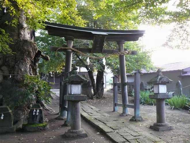 地旅商品画像3