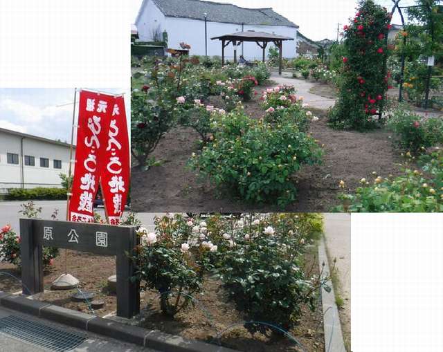 地旅商品画像10