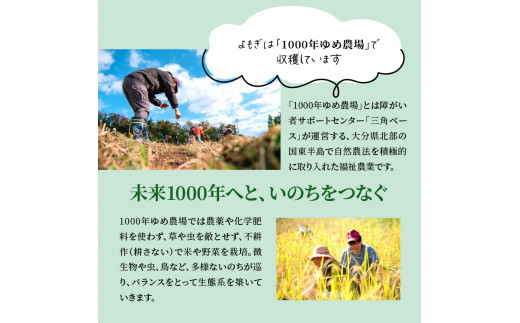 地産商品画像5
