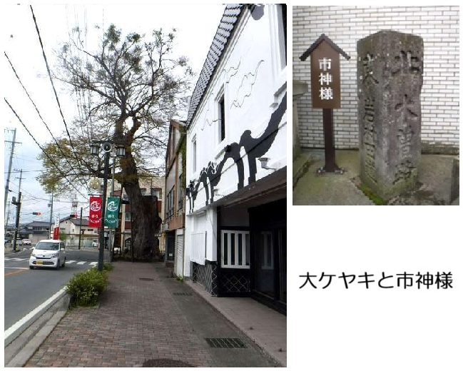地旅商品画像
