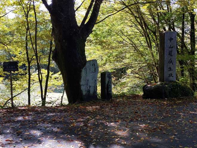 地旅商品画像