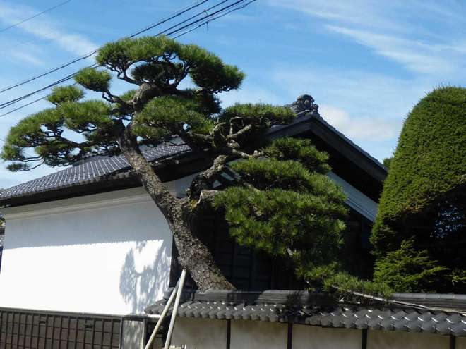 地旅商品画像