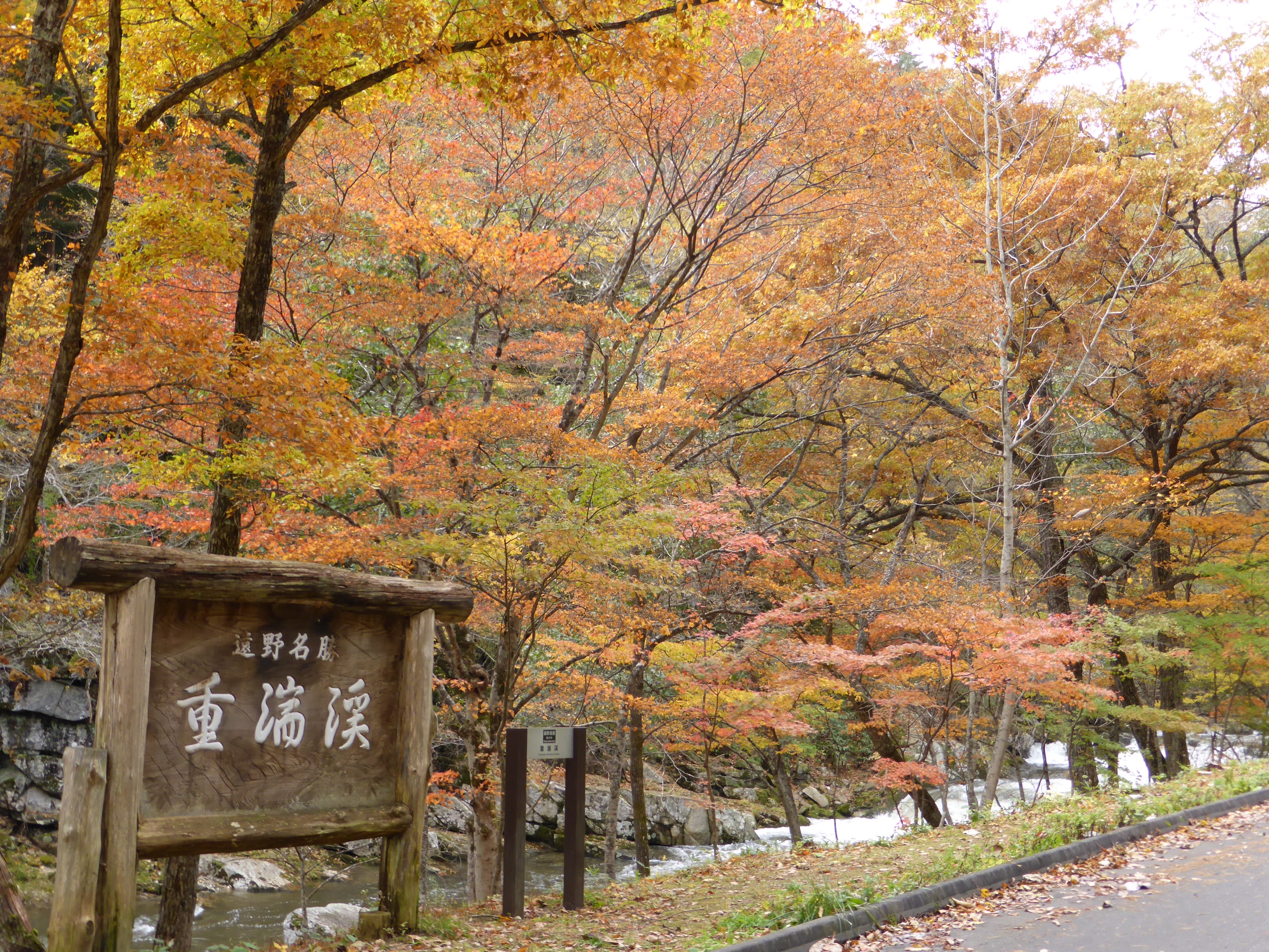 地旅商品画像4