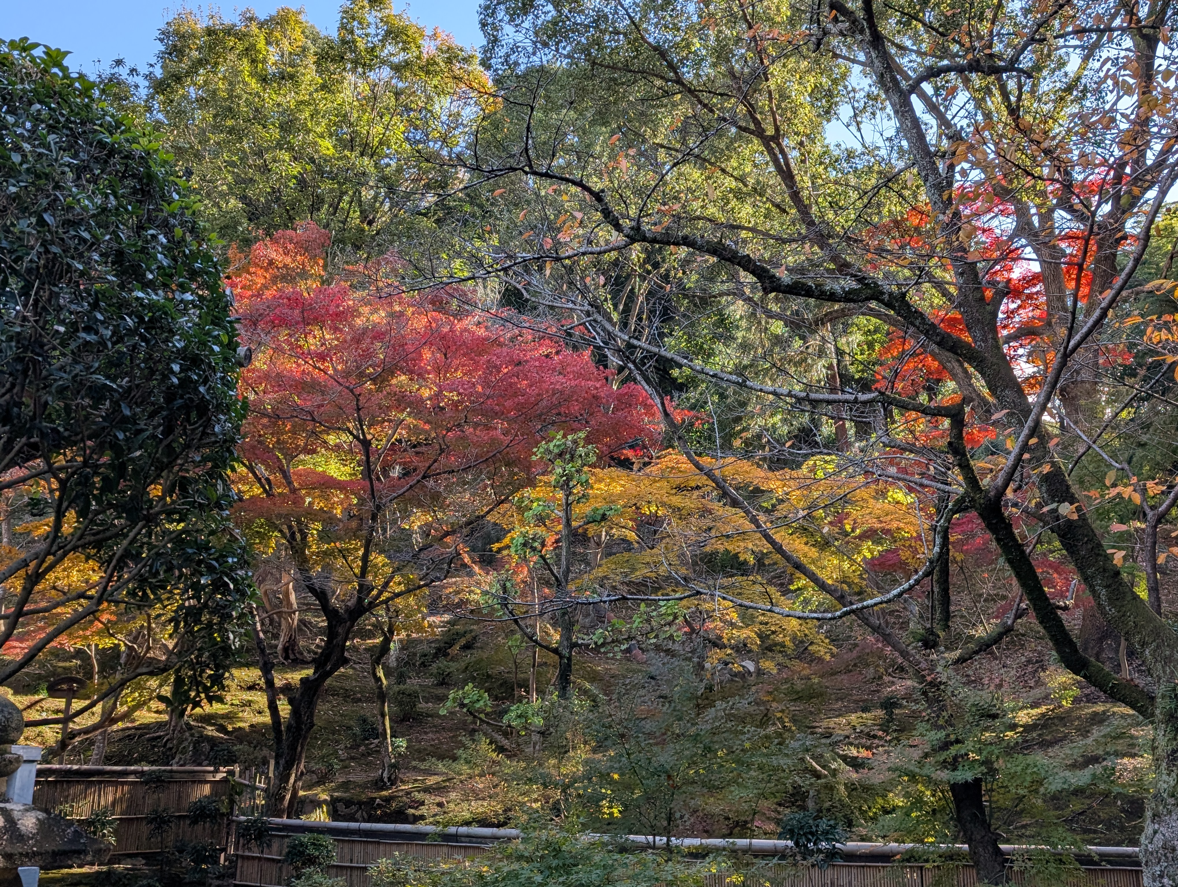 地旅商å“ç”»åƒ3