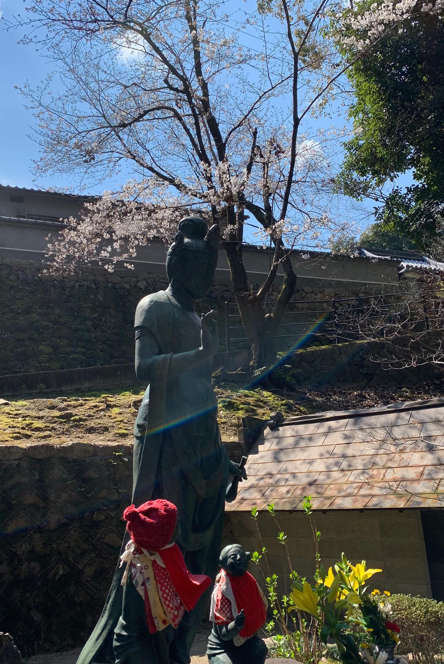 地旅商品画像5