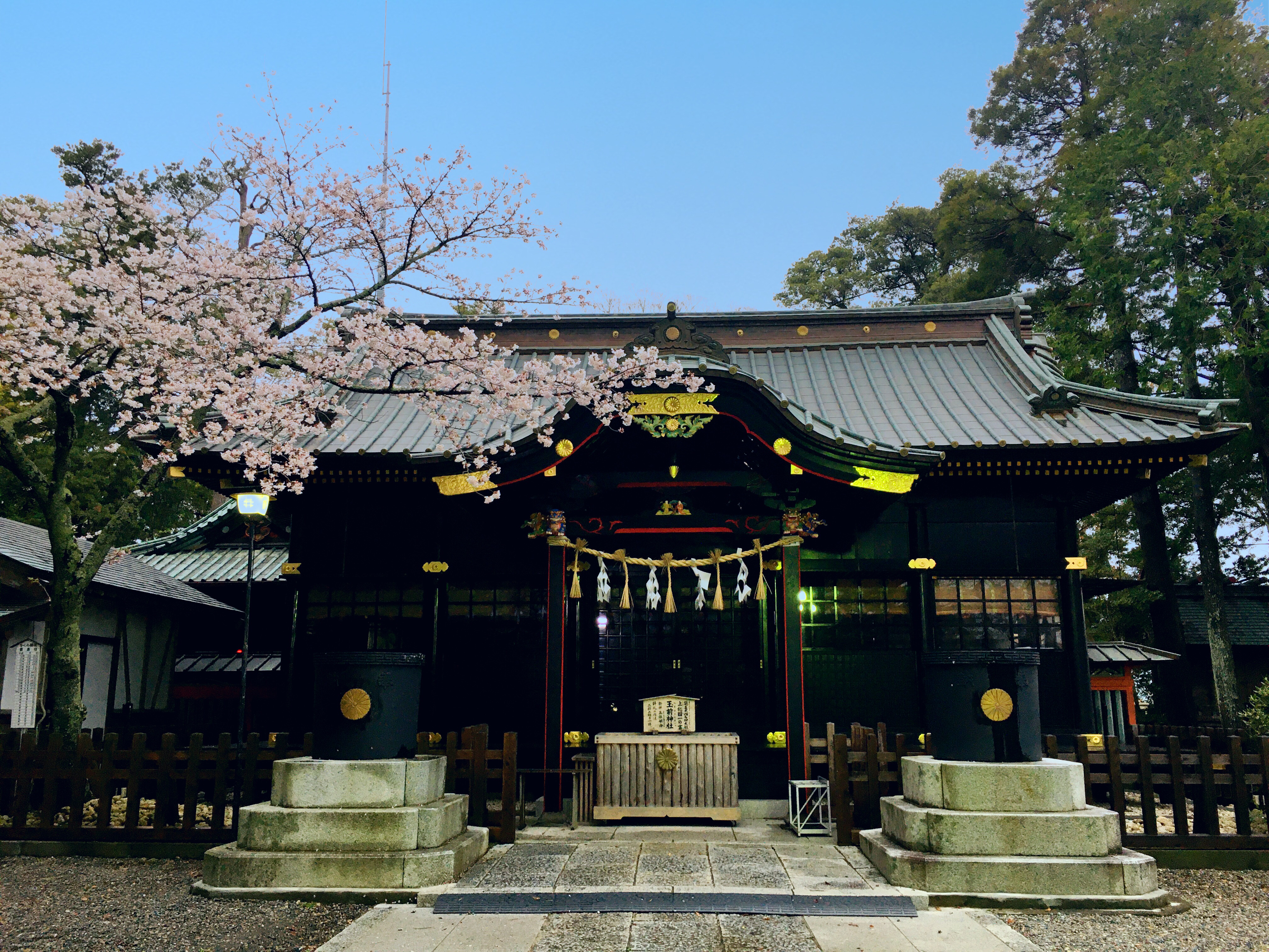 地旅商品画像2