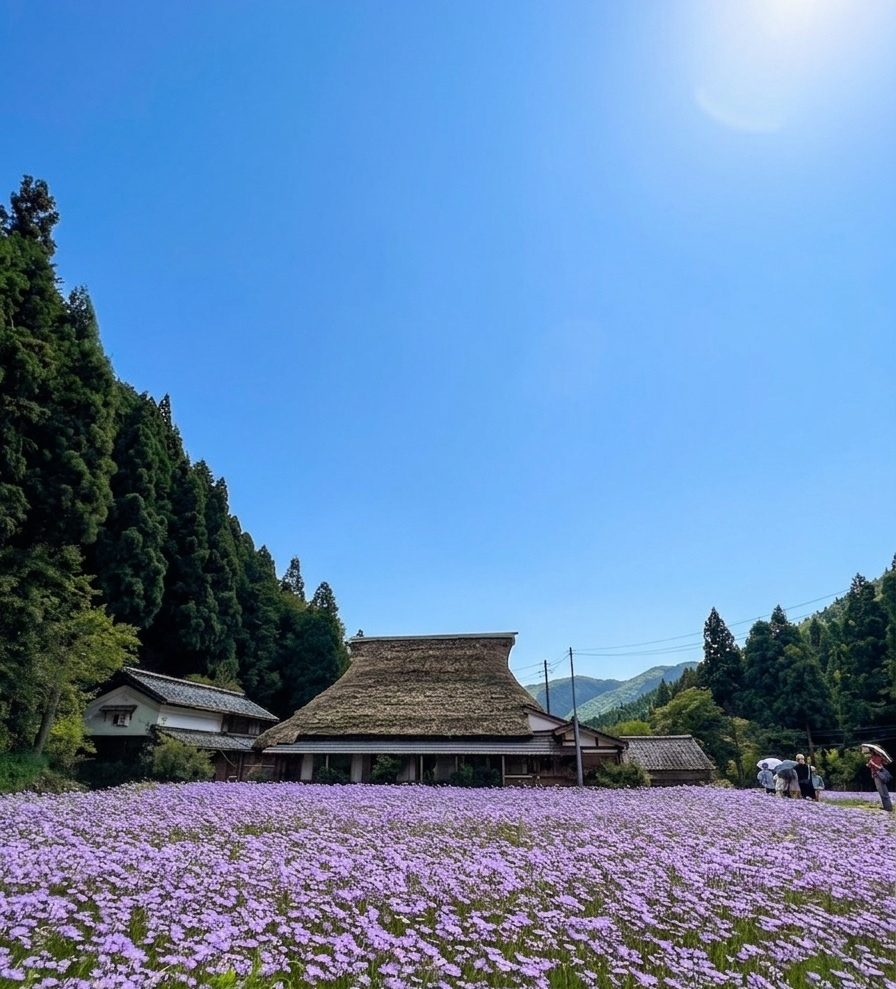 地旅商品画像