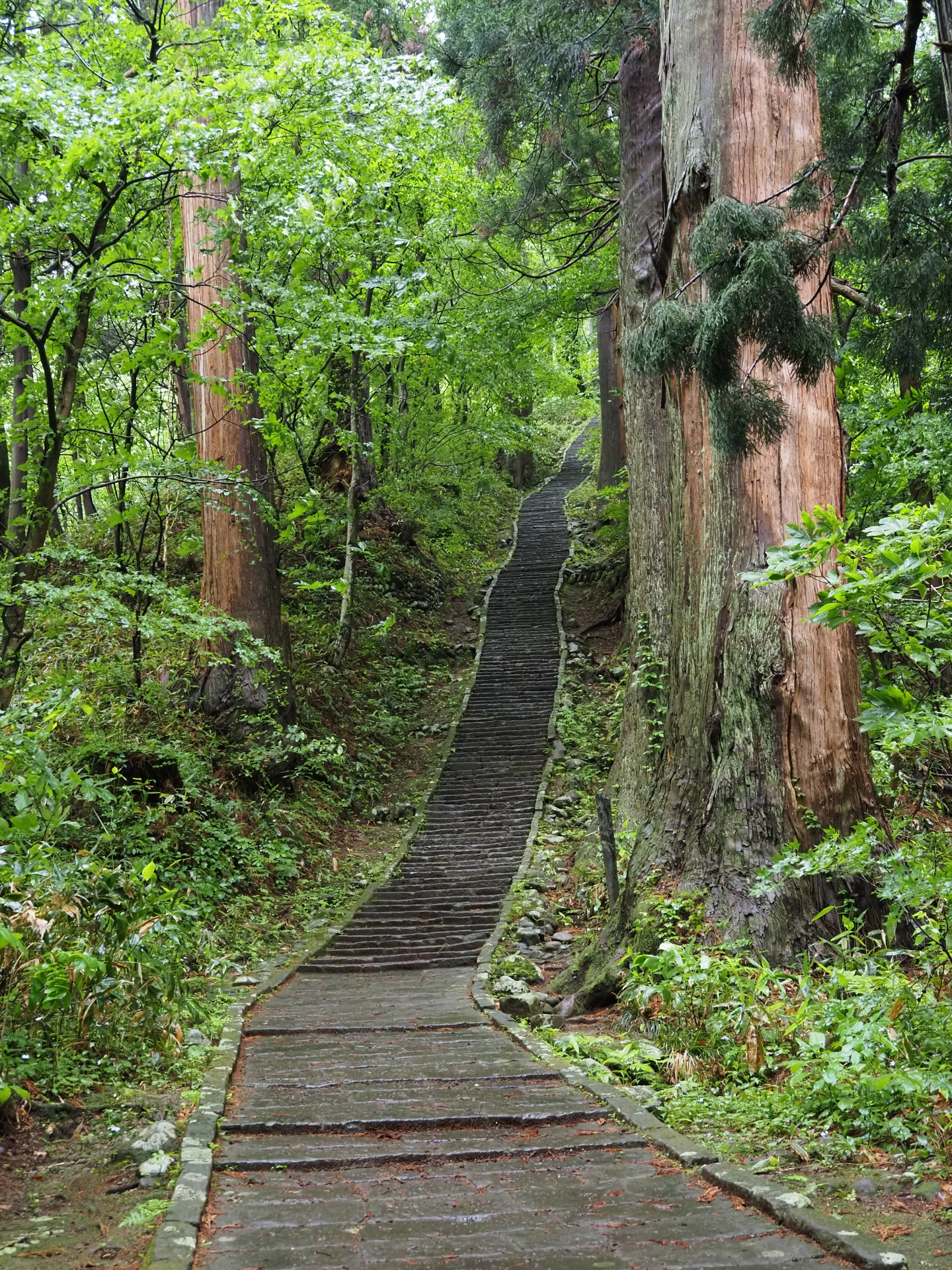 地旅商品画像3