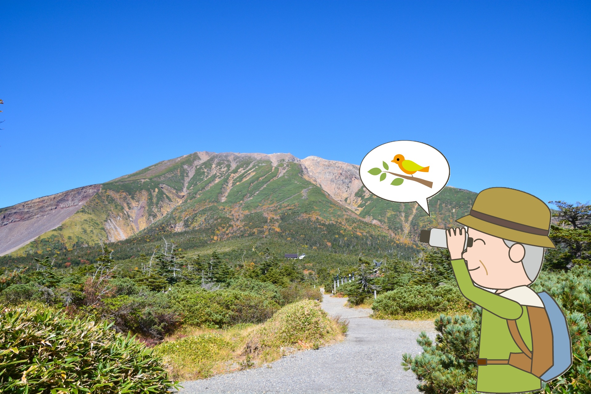 地旅商品画像
