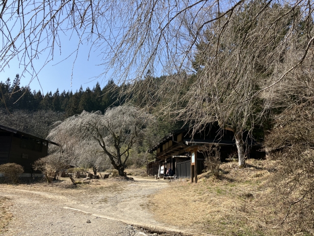 地旅商品画像2