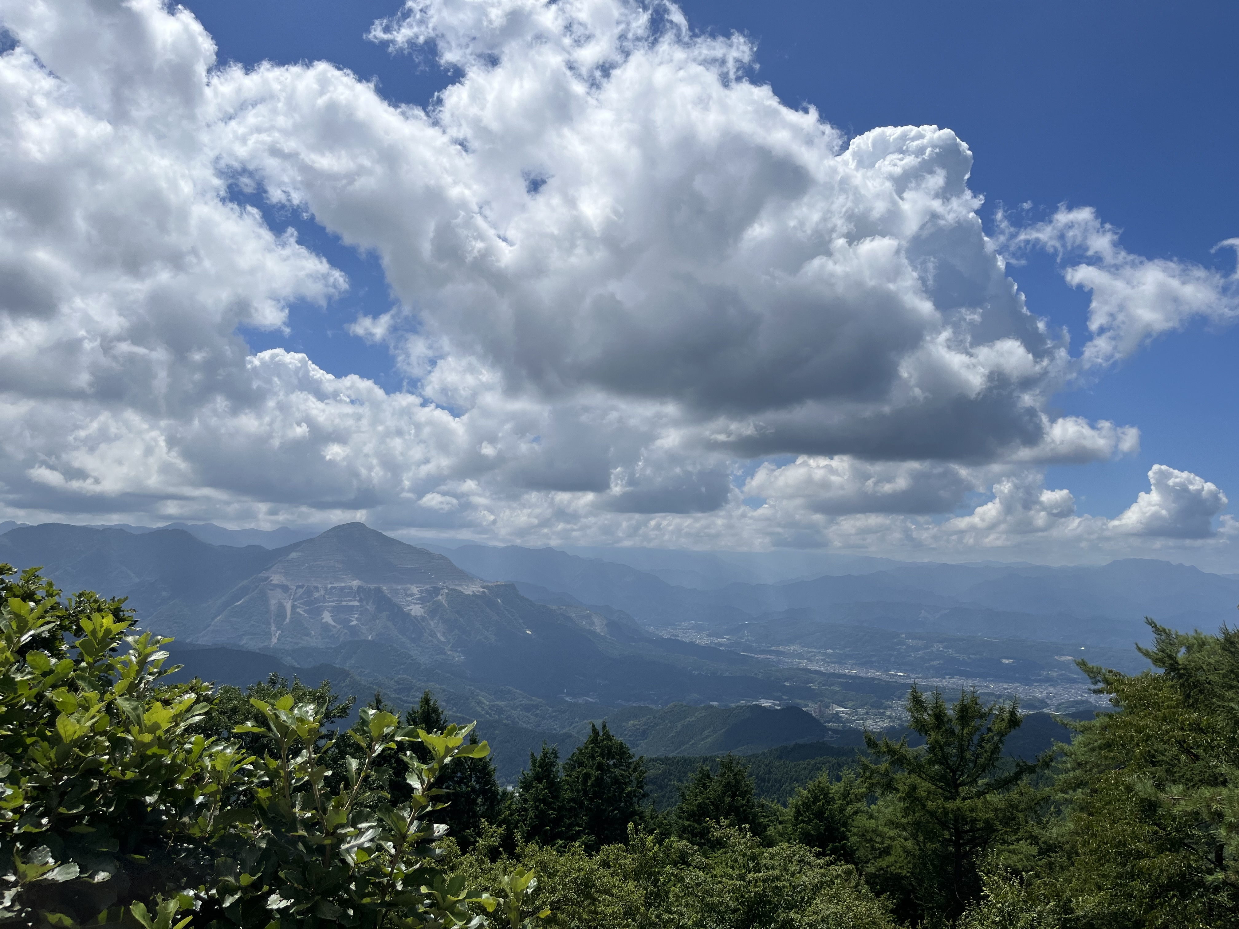 地旅商品画像2