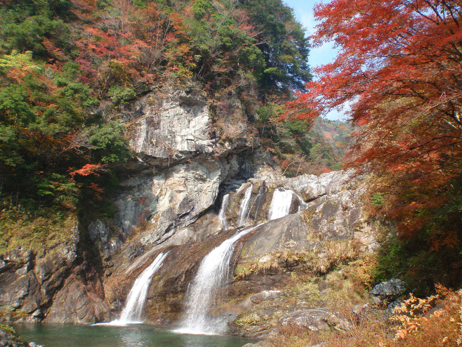 地旅商品画像2