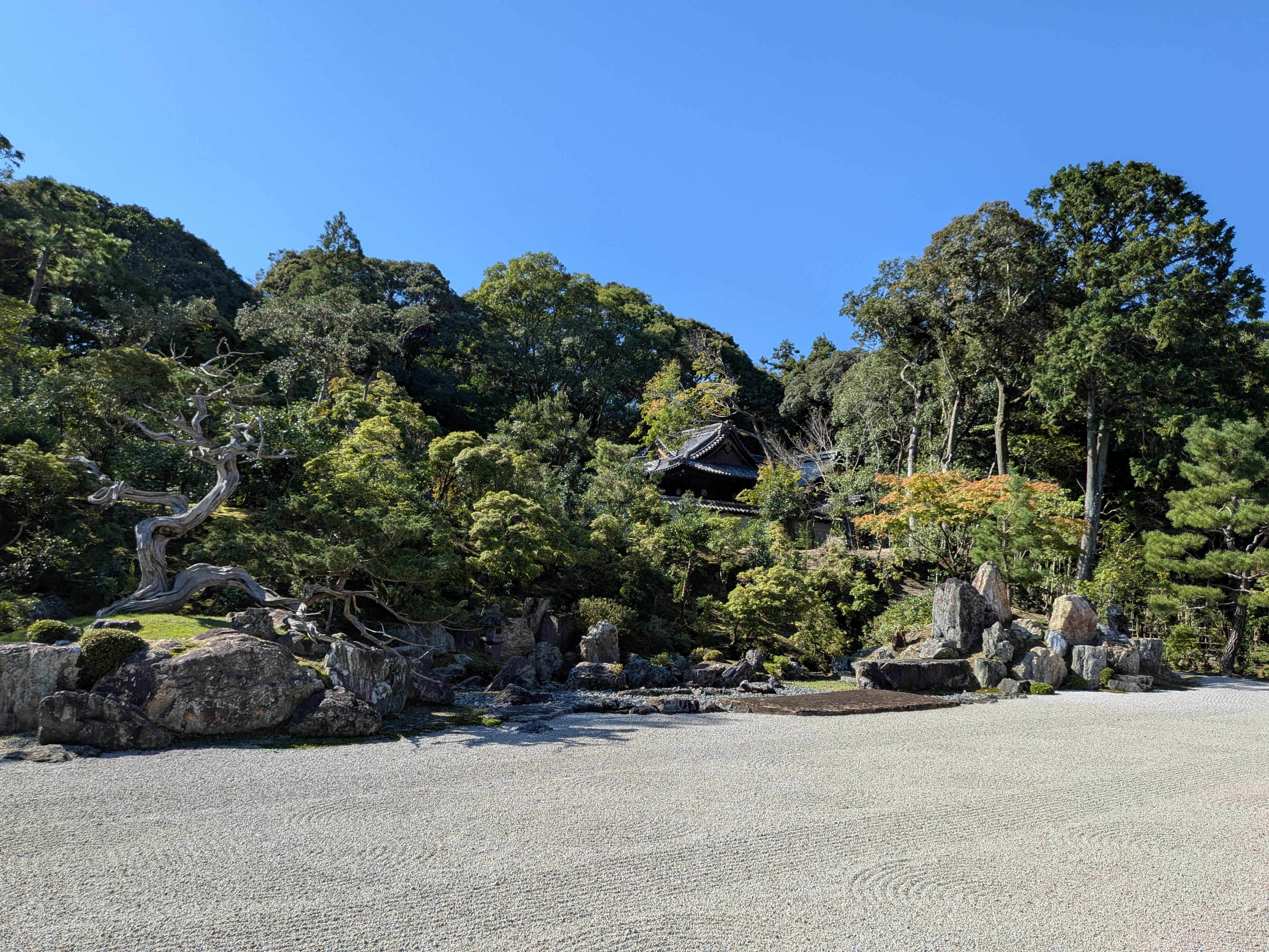地旅商品画像4
