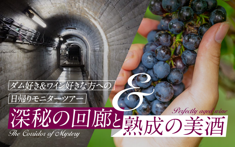 地旅商品画像